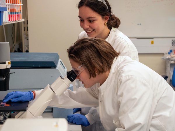 Image of Longevity scientists send human tissue to space to study ageing