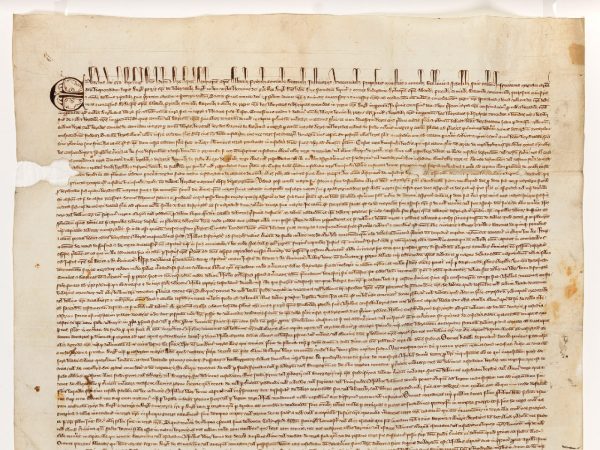 Image of Statement from the Provost on the original Magna Carta discovery at Harvard Law School